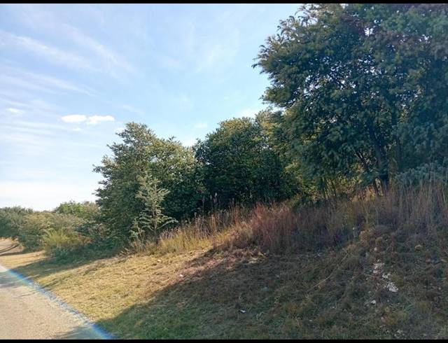 LAND FOR SALE IN VAALOEWER